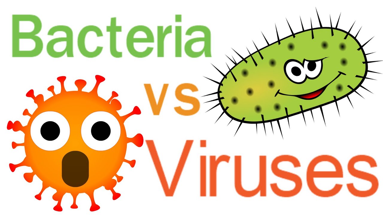 Unterschiede zwischen bakterieller und viraler Infektion